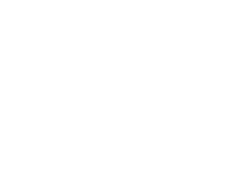 Black and white Google logo.